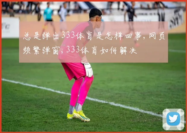 总是弹出333体育是怎样回事,网页频繁弹窗,333体育如何解决