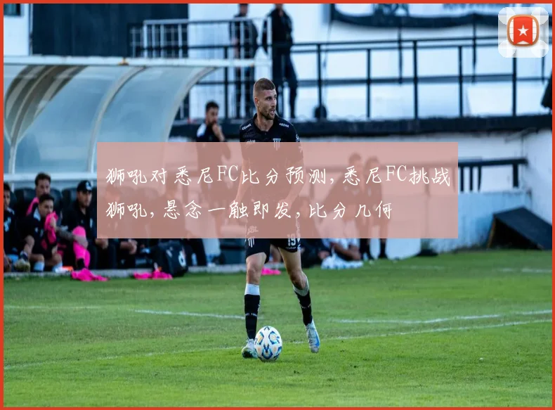 狮吼对悉尼FC比分预测,悉尼FC挑战狮吼,悬念一触即发,比分几何
